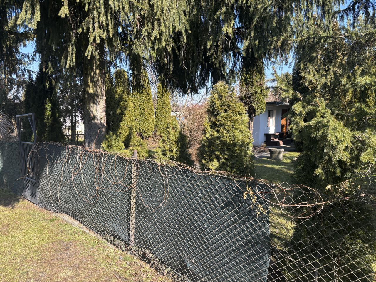 Działka rekreacyjna Sosnowiec Niwka, ul. Juliana Tuwima. Zdjęcie 11