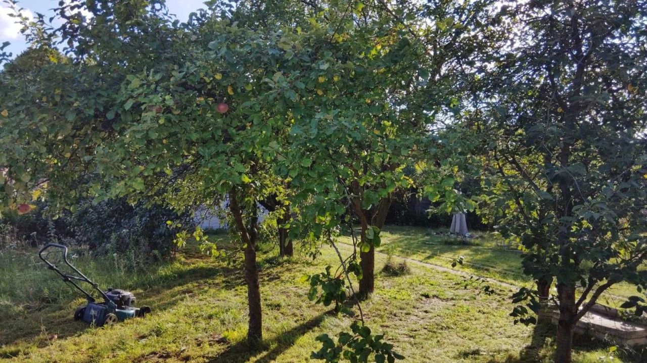 Działka rekreacyjna Kulów. Zdjęcie 4