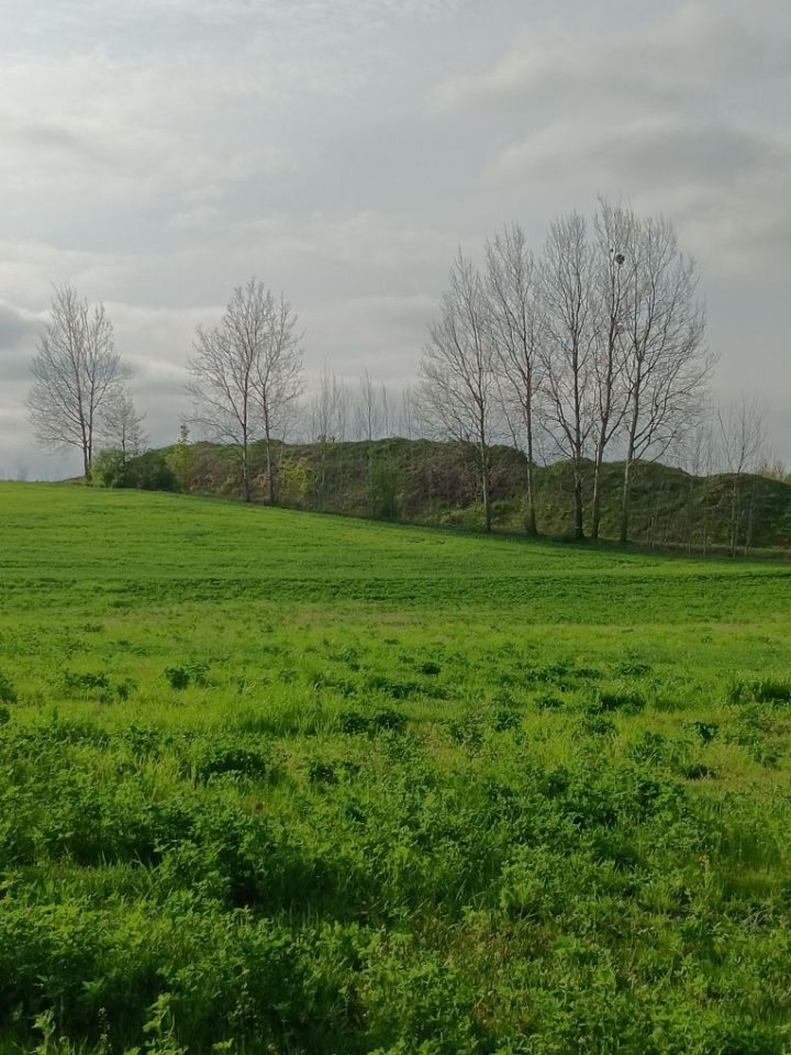 Działka rolno-budowlana Kitnowo. Zdjęcie 3