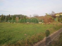 Działka budowlana Węgrów, ul. Sosnowa. Zdjęcie 1