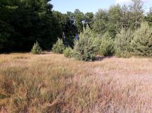 Działka budowlana Stefanów. Zdjęcie 4