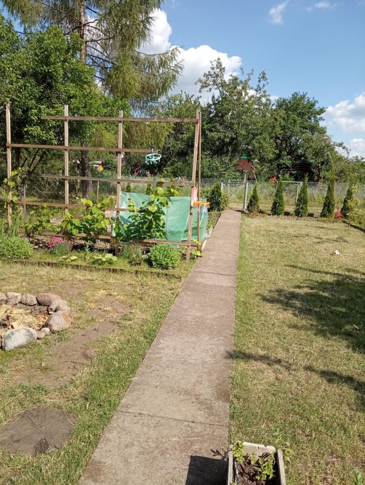 Działka rod Wrocław Psie Pole, ul. Bolesława Krzywoustego. Zdjęcie 11