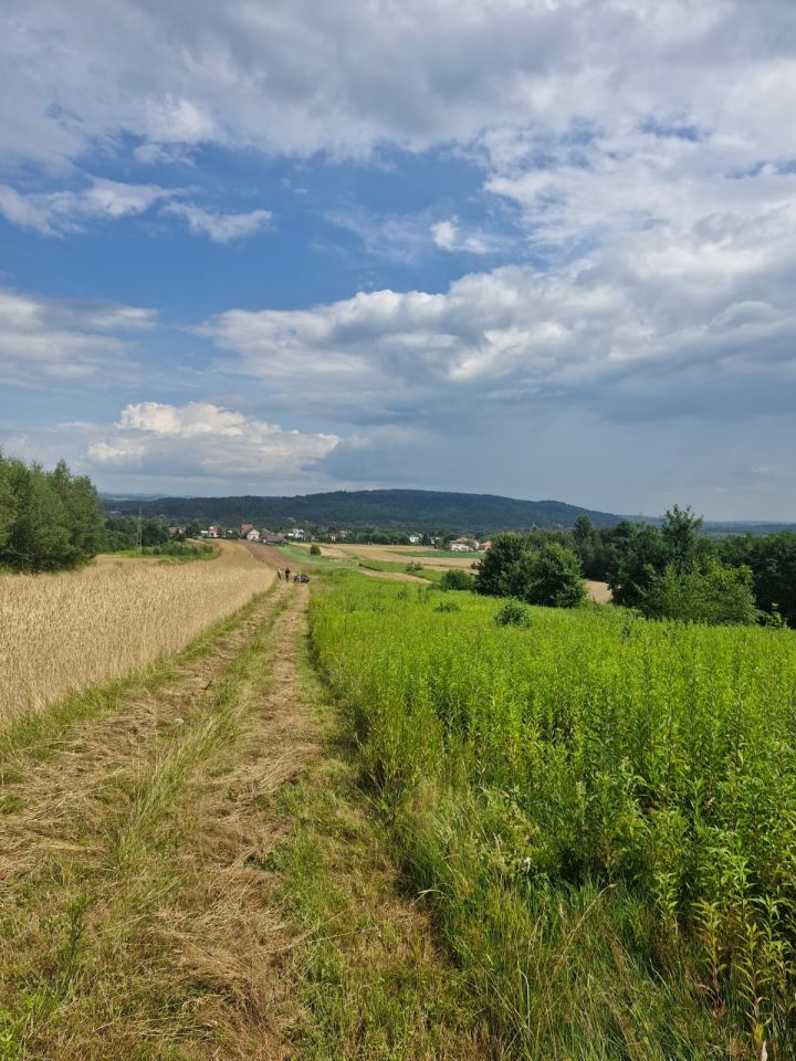 Działka rolna Wróblowa. Zdjęcie 3
