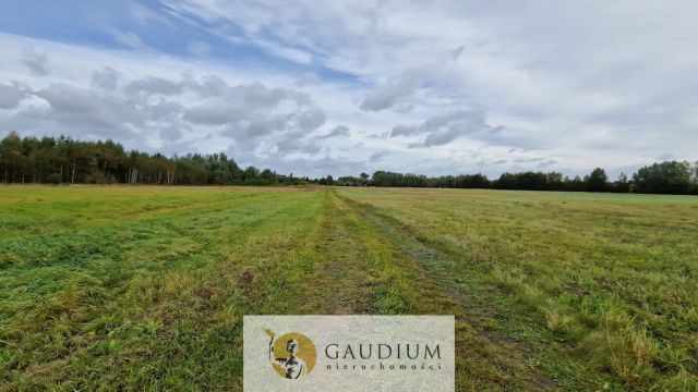Działka budowlana Drewnica. Zdjęcie 5