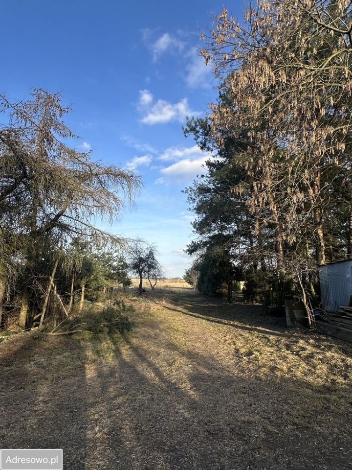 Mieszkanie 2-pokojowe Bieślin. Zdjęcie 6