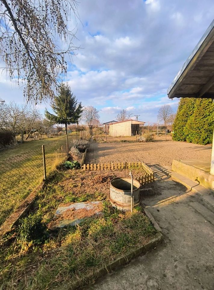 Działka rod Gniezno. Zdjęcie 3