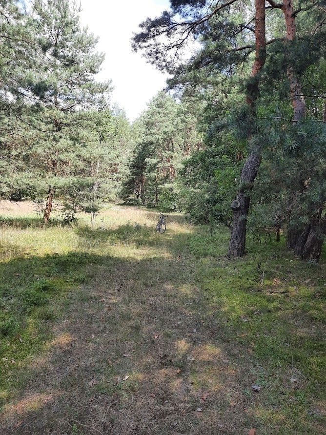 Działka leśna Żarki-Letnisko, ul. Jasna. Zdjęcie 5