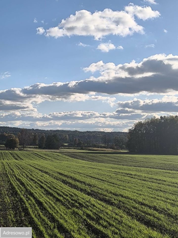 Działka budowlana Dobrzyniewo Duże, ul. Białostocka. Zdjęcie 7