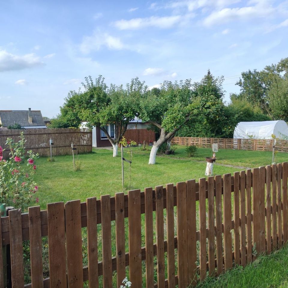 Działka rod Pyrzyce. Zdjęcie 3