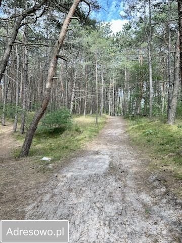 Mieszkanie 2-pokojowe Rogowo. Zdjęcie 15