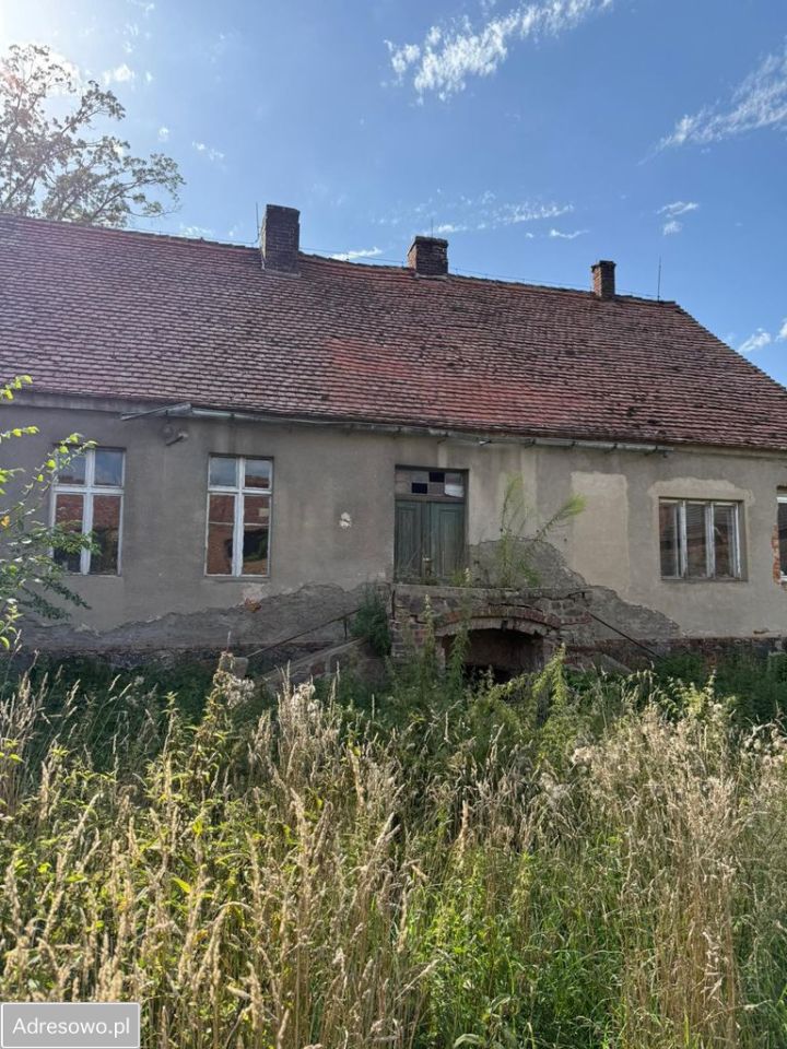 dom wolnostojący, 5 pokoi Dolsko. Zdjęcie 14