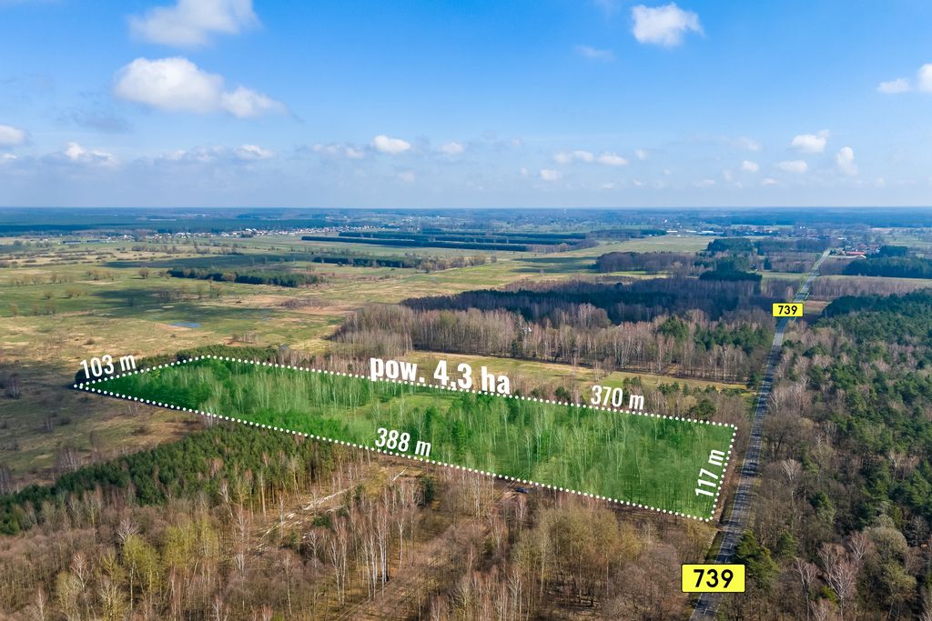 Działka rekreacyjna Sobieńki. Zdjęcie 4