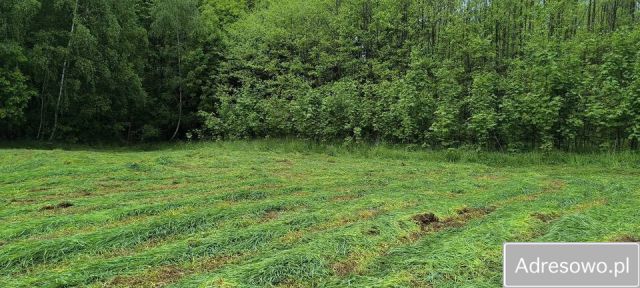 Działka rolna Błażowa. Zdjęcie 1