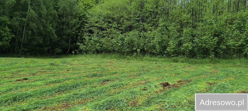 Działka rolno-budowlana Błażowa. Zdjęcie 1