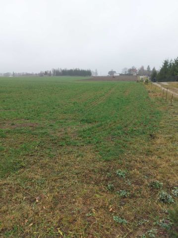 Działka budowlana Gorczyce. Zdjęcie 1