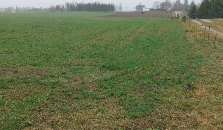 Działka budowlana Gorczyce