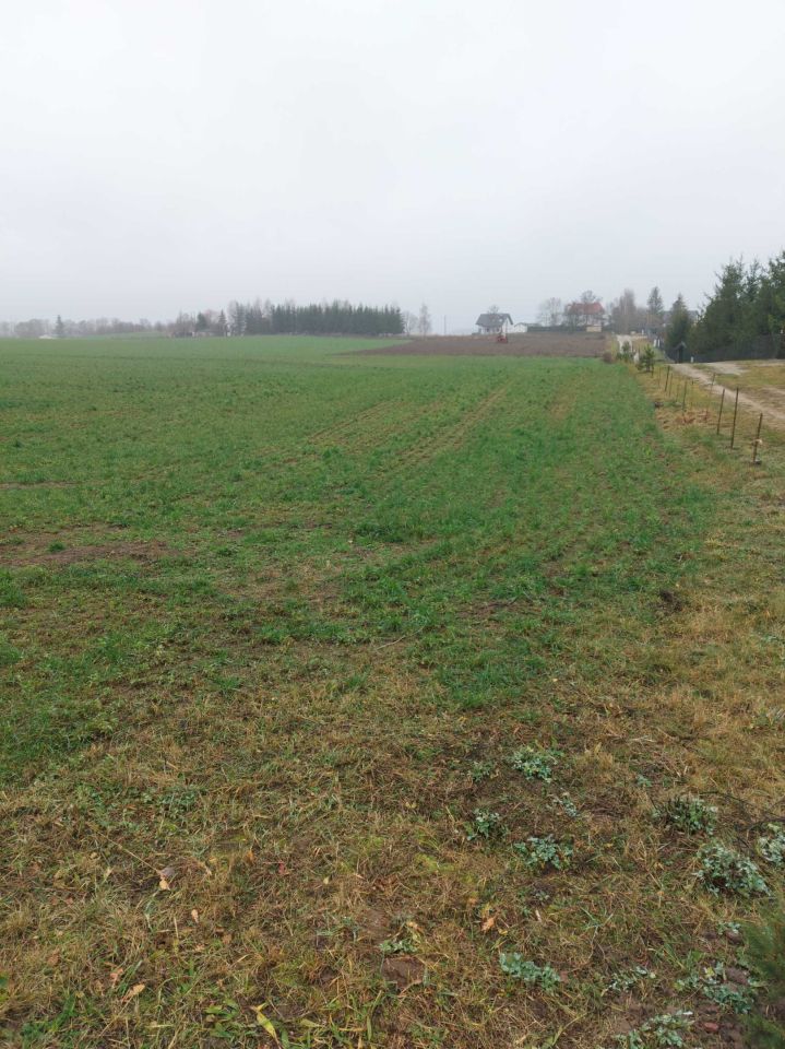 Działka budowlana Gorczyce