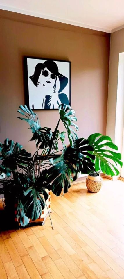 dom wolnostojący Książ Mały. Zdjęcie 8