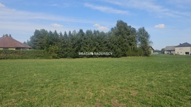 Działka inwestycyjna Cholerzyn. Zdjęcie 3