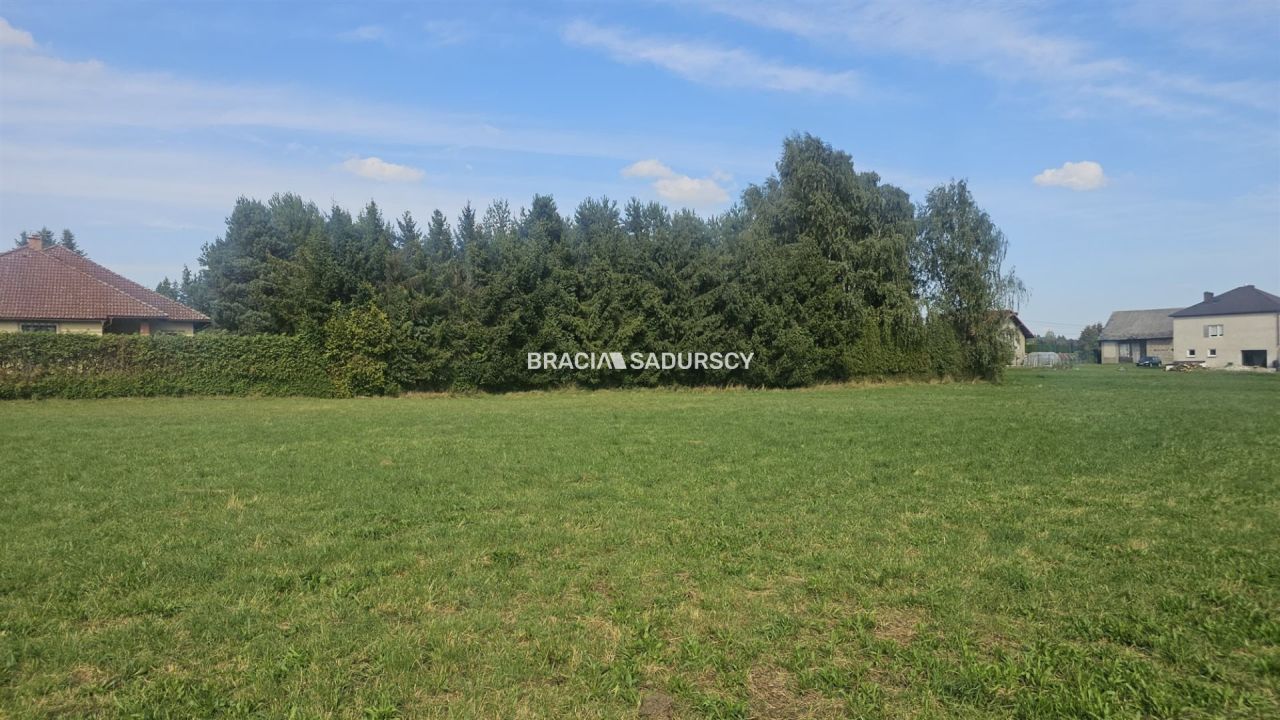 Działka inwestycyjna Cholerzyn. Zdjęcie 3