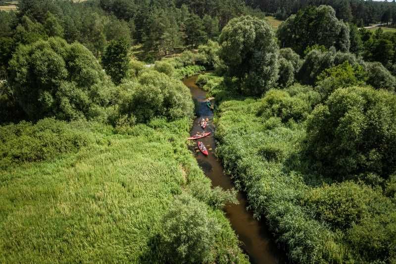 bliźniak Kliszów. Zdjęcie 2