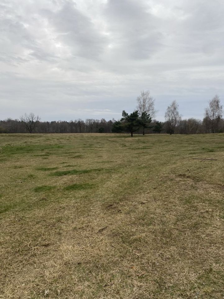 Działka rolno-budowlana Zagozd. Zdjęcie 8