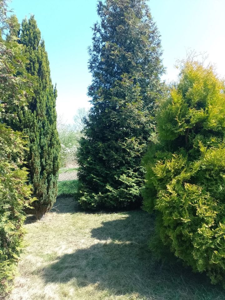 Działka rod Brzeg, ul. Małujowicka. Zdjęcie 4