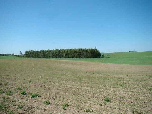 Działka rolno-budowlana Dźwierzuty. Zdjęcie 1