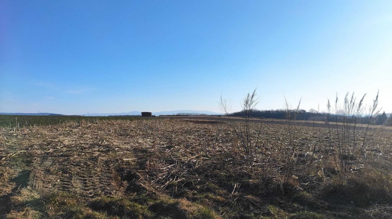 Działka budowlana Klecin. Zdjęcie 2