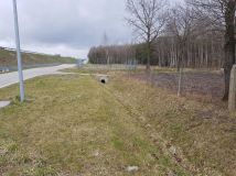 Działka rolno-budowlana Franciszków. Zdjęcie 1