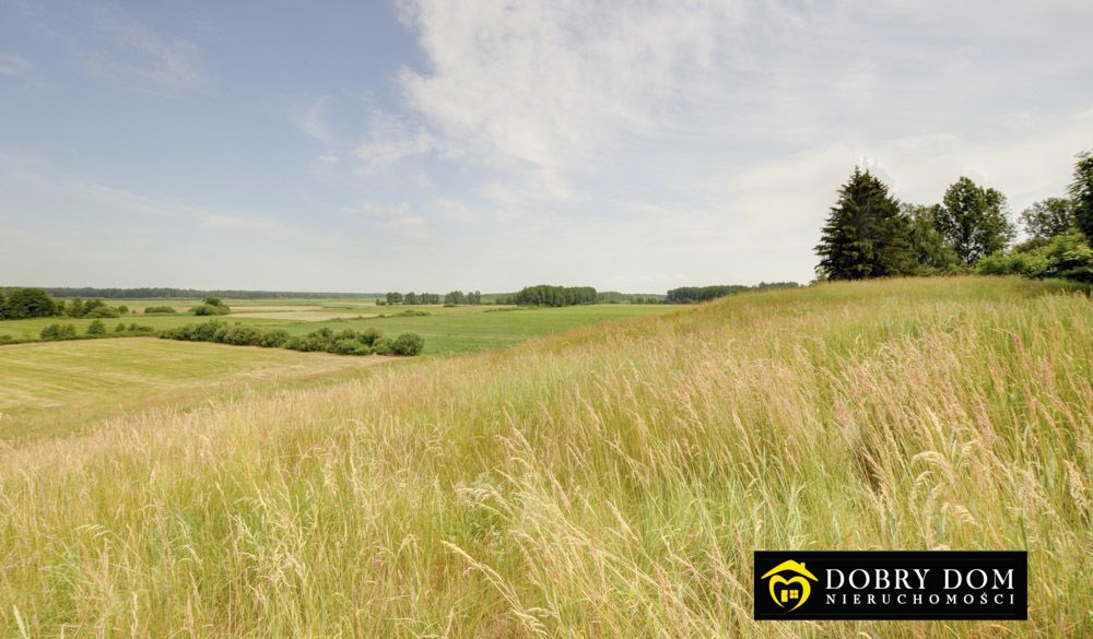 dom wolnostojący, 5 pokoi Sztabin. Zdjęcie 13