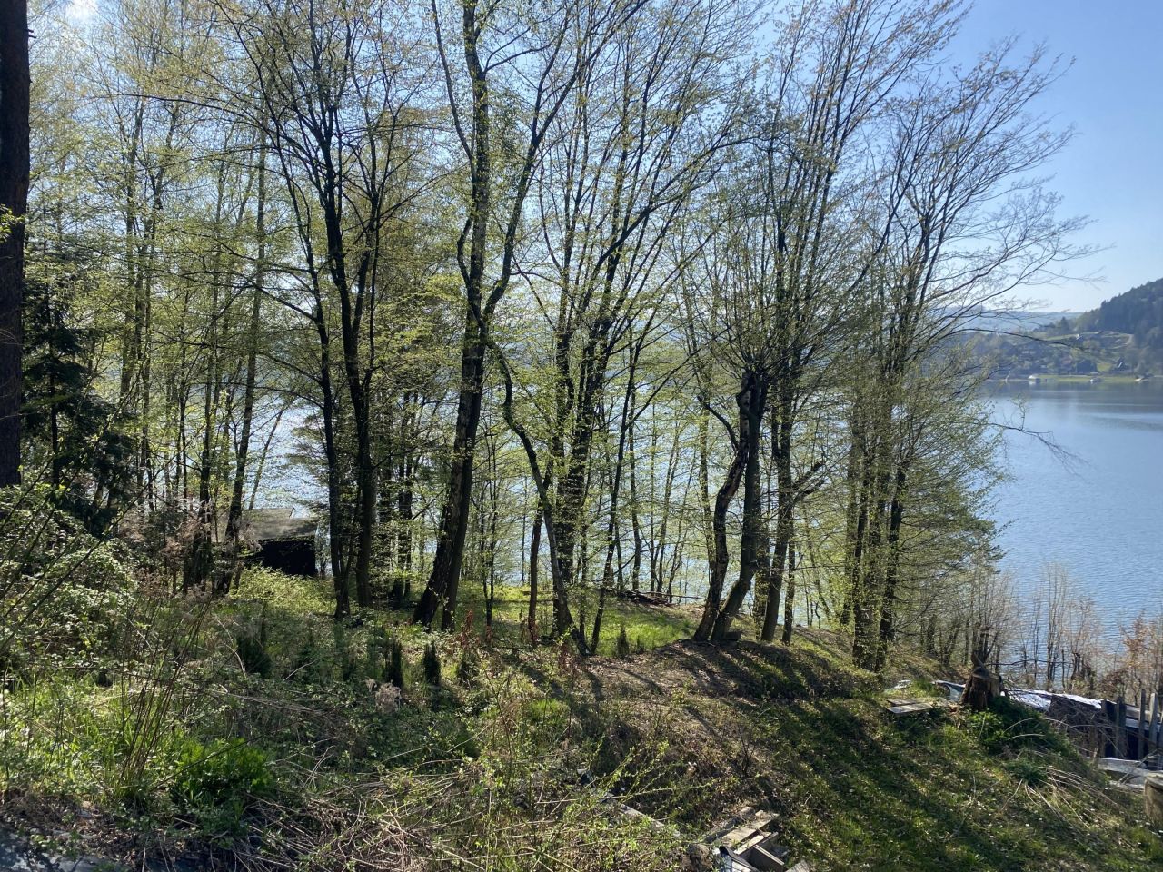 Działka leśna Rożnów Wiesiółka. Zdjęcie 8