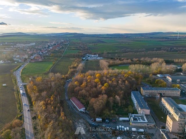 Działka inwestycyjna Jaroszów. Zdjęcie 6