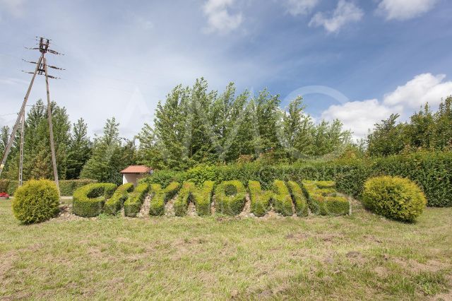 Działka inwestycyjna Chynowie. Zdjęcie 6