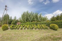 Działka inwestycyjna Chynowie. Zdjęcie 4