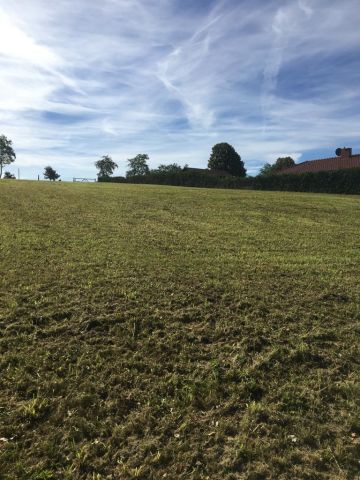 Działka rolno-budowlana Strączno. Zdjęcie 4