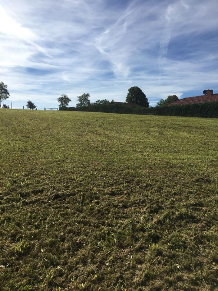 Działka rolno-budowlana Strączno. Zdjęcie 4