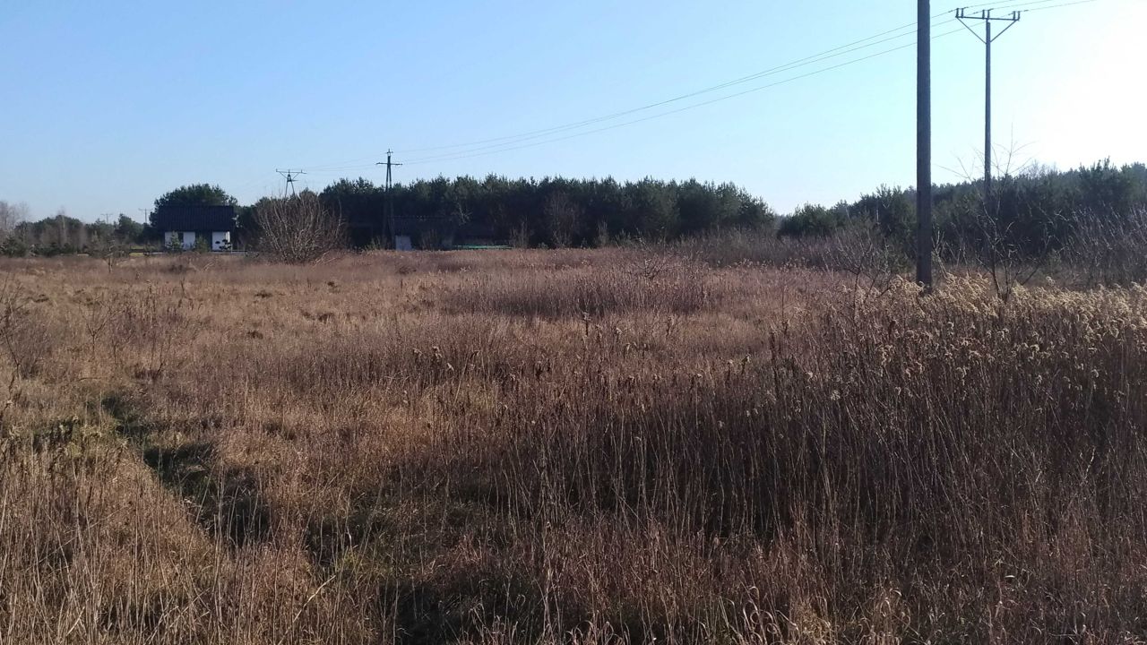 Działka budowlana Gutowo. Zdjęcie 7