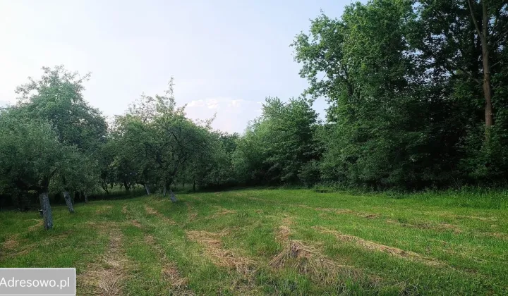 Działka rolno-budowlana Bierówka