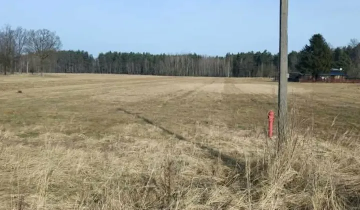 Działka rolna Leśniaki Chabielskie