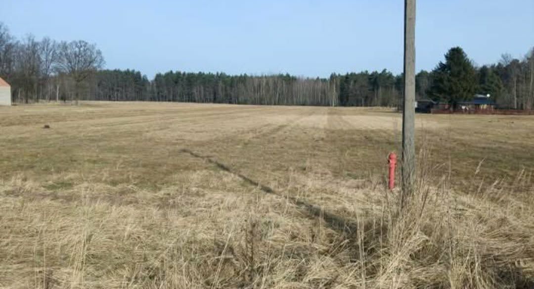 Działka rolna Leśniaki Chabielskie, leśniaki chabielskie. Zdjęcie 3