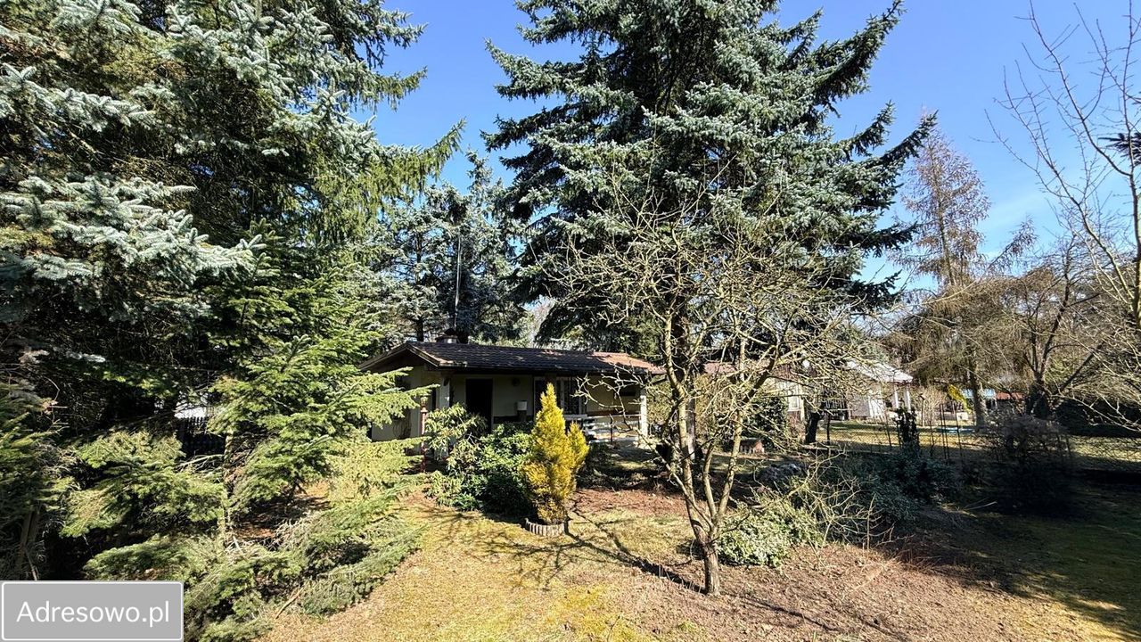 Działka rod Otowo. Zdjęcie 13