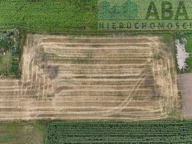 Działka budowlana Słupca, droga Słomczycka. Zdjęcie 5