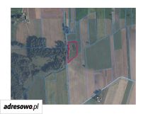 Działka siedliskowa Modrzewie. Zdjęcie 4