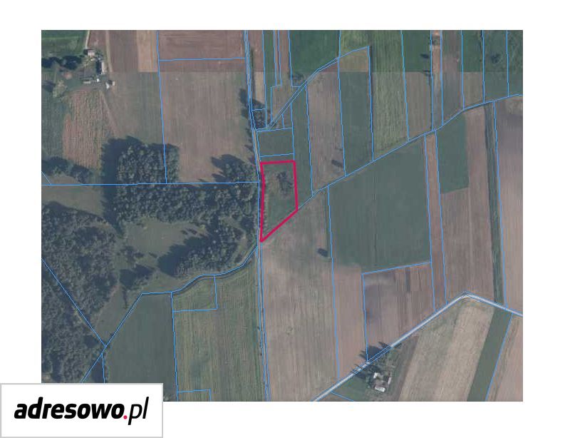 Działka siedliskowa Modrzewie. Zdjęcie 5