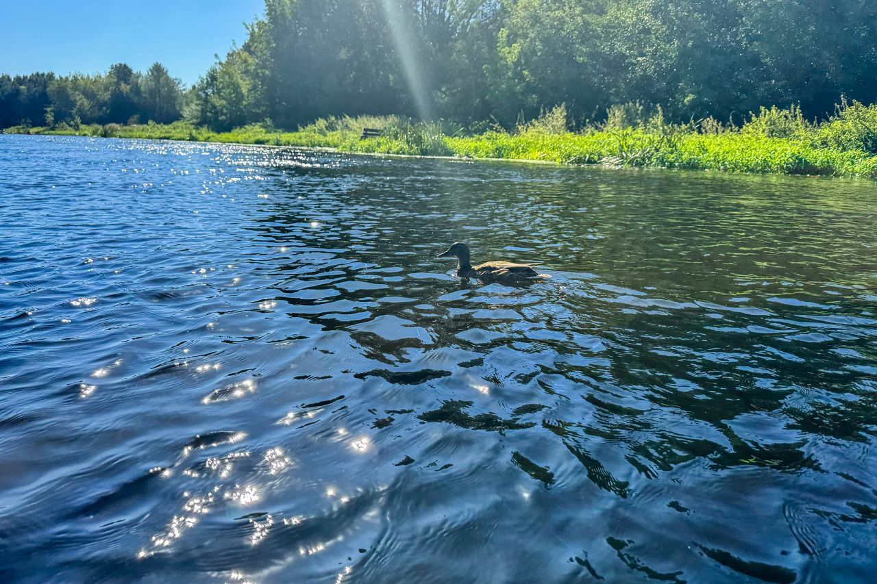 Działka budowlana Lelewo. Zdjęcie 10