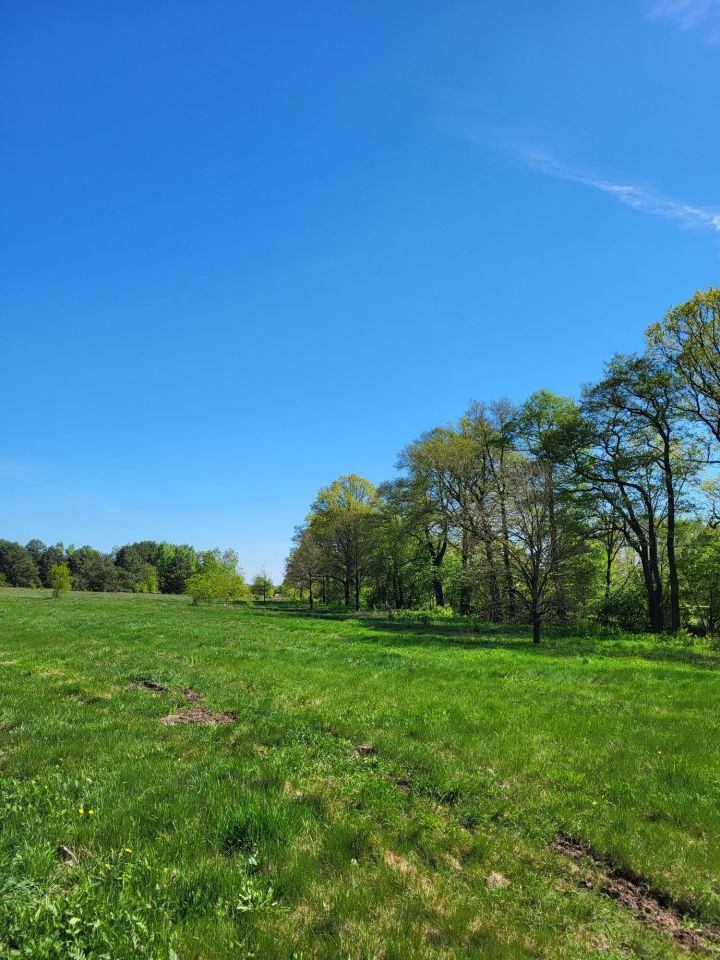 Działka budowlana Nowa Kuźnia. Zdjęcie 4