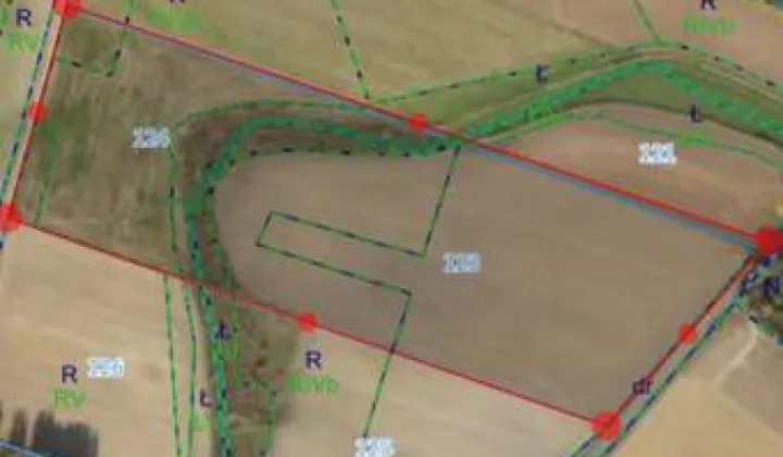 Działka siedliskowa Nowe Marcinkowo