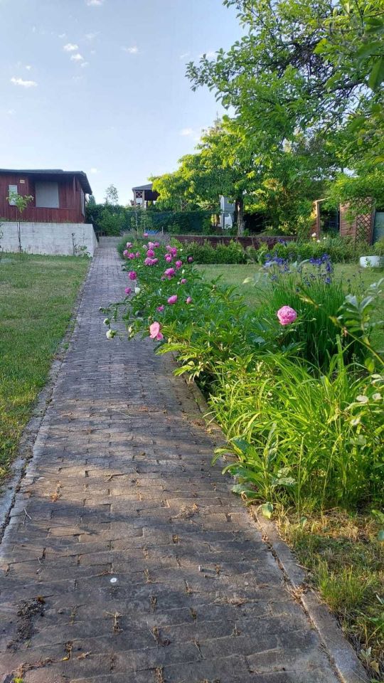 Działka rod Gorzów Wielkopolski, ul. Piłkarska. Zdjęcie 3