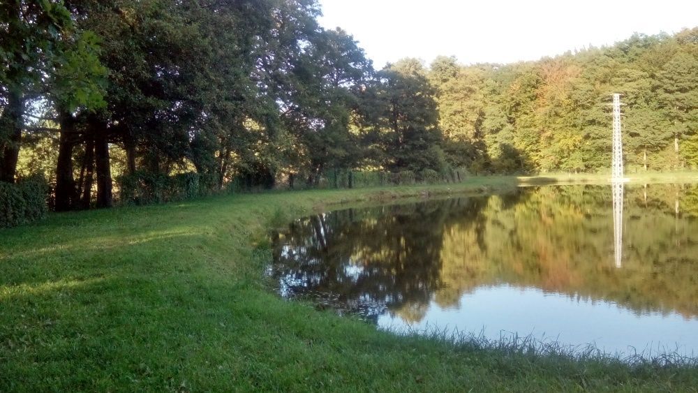 Działka rolno-budowlana Golczewo. Zdjęcie 2